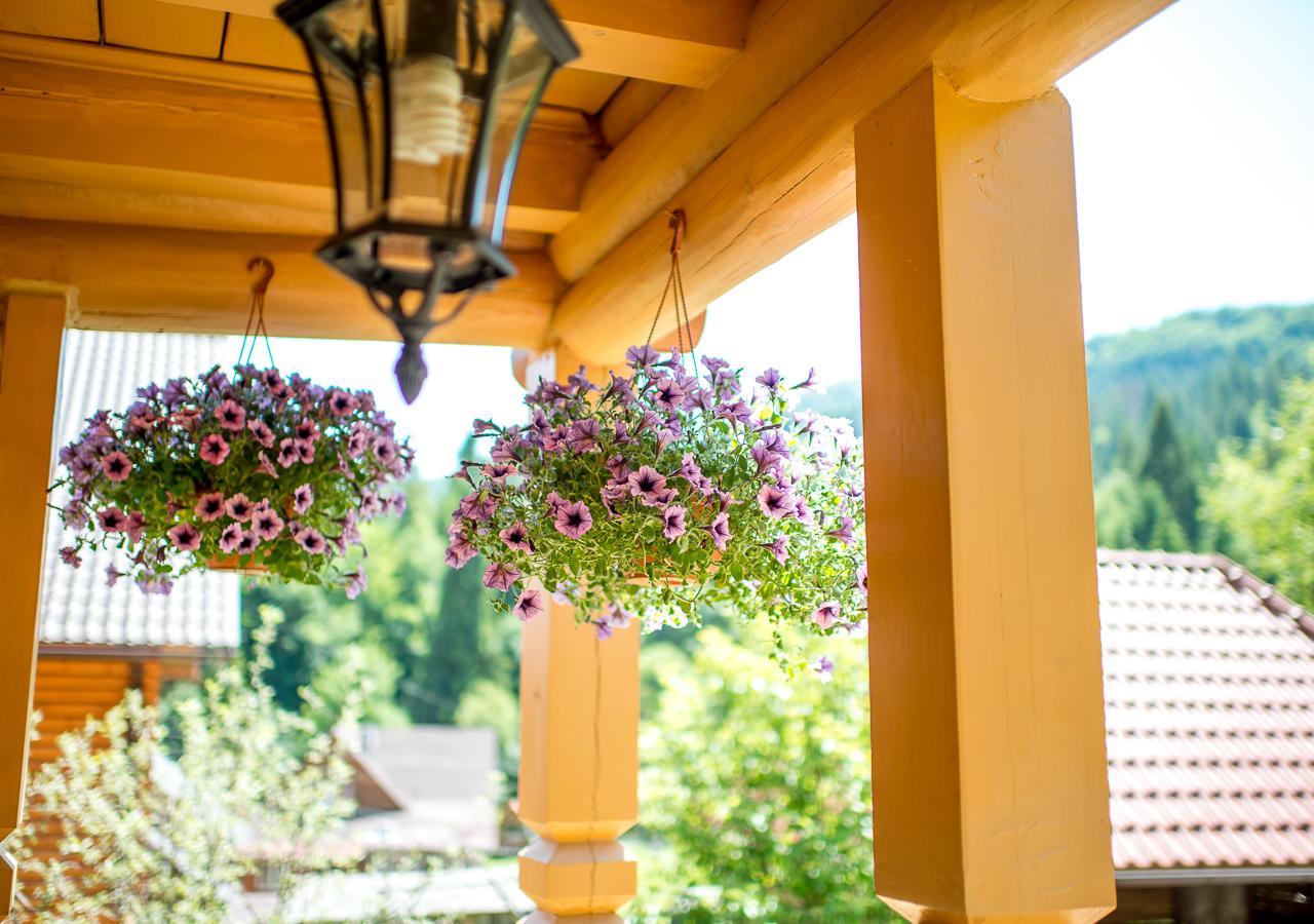 Шалe У Пилипці Chalet Pylypets Pilipets Exterior foto